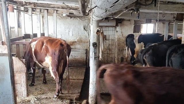 Опять приключения Женя злится смотреть онлайн