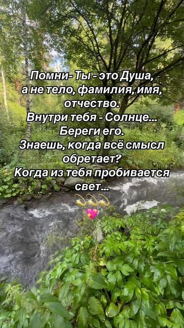 Солнце внутри тебя