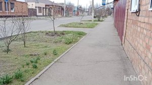 Природа в Ейске просыпается... Пятиэтажки на Богданке...