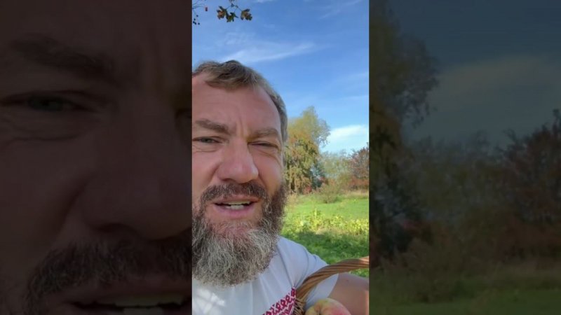 Некоторые меня не понимают. Некоторые осуждают