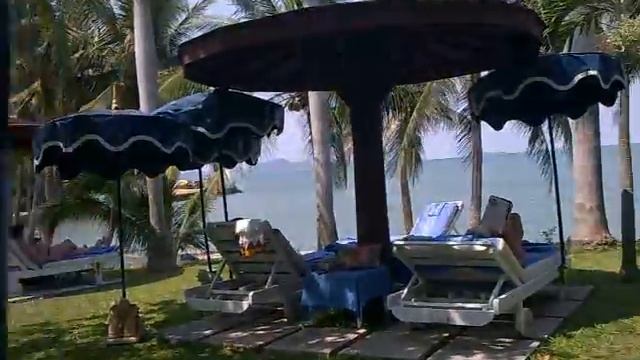 Royal Wing Hotel, Pattaya -  pool area смотреть онлайн