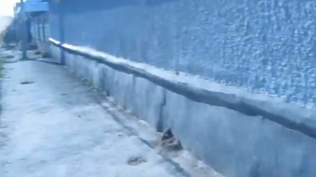 Улыбка смотреть онлайн