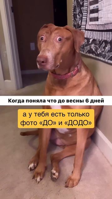 Вы тоже в шоке девочки, что до весны 6 дней! 😂Начинаем активно делать скрабирование и обертывание🤩