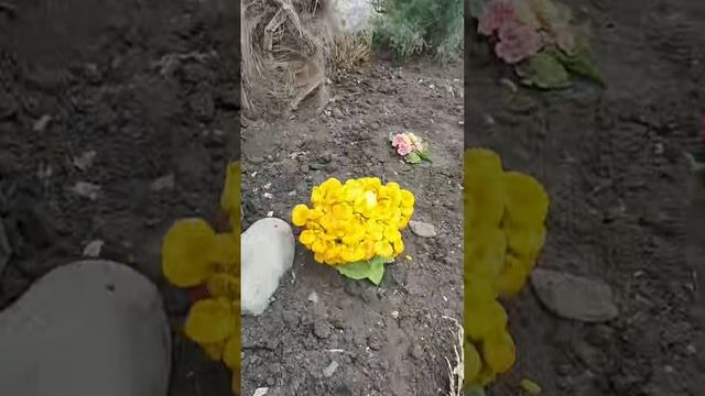 «Туда, где дышит природа»