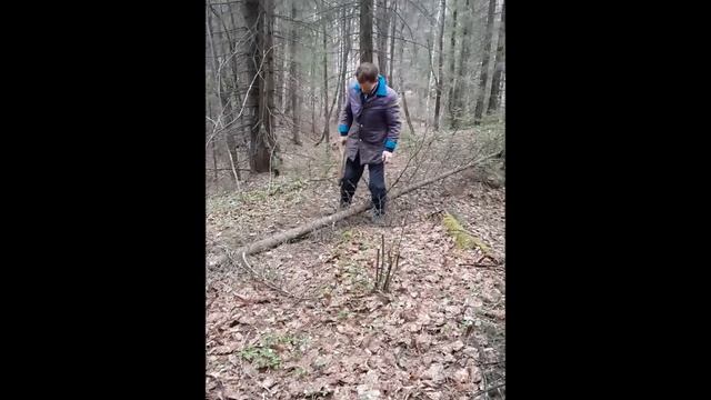 Как падают деревья смотреть онлайн