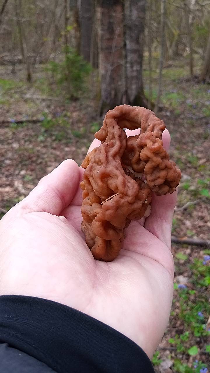 Строчки. Начало. Апрель 2025 смотреть онлайн