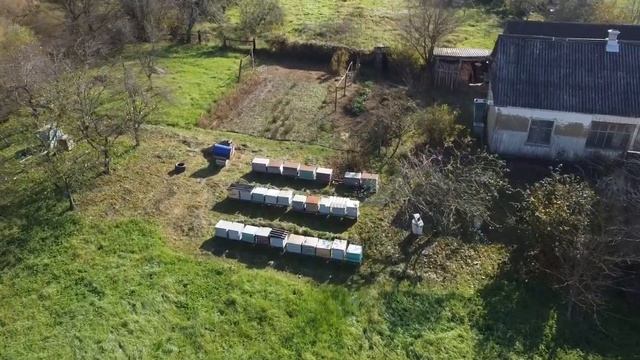 Станица Эриванская, Советов 6 смотреть онлайн