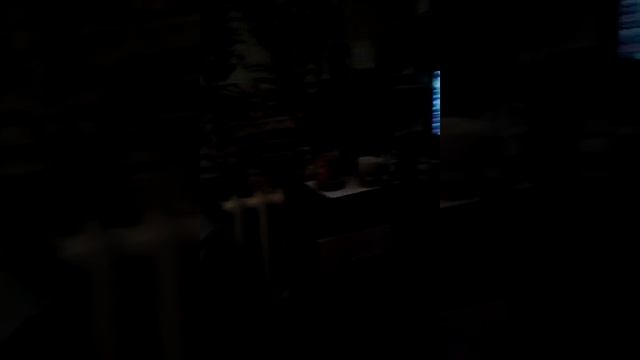 Приключения кошек