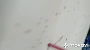 Стрельба из арбалета # на что он способен