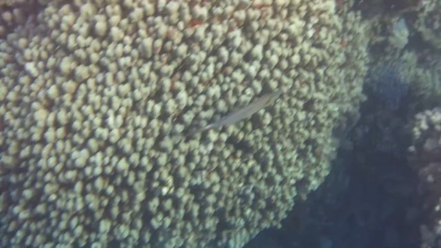 Расписной алутер смотреть онлайн