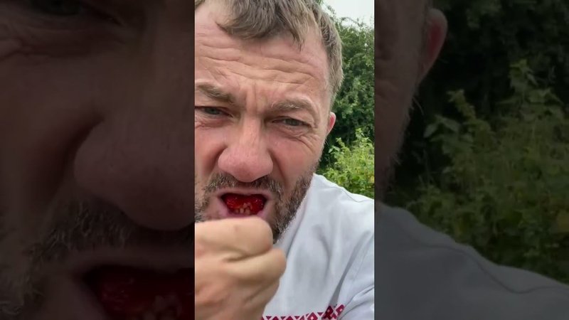 Это вам не СССР. Ремонтирую вилы