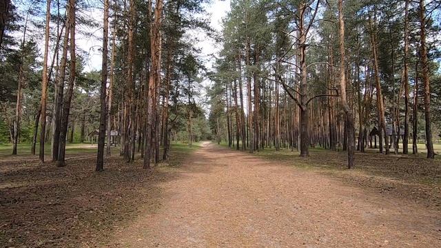 До загородного парка. Опять нет шашлыков. Новый квартал. Частный пруд с лебедями