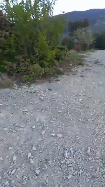 VID-20250420-WA0021