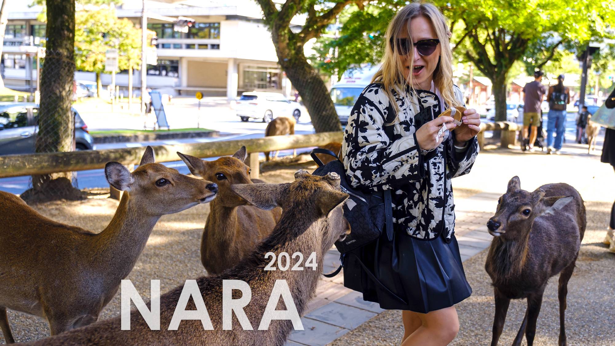 Нара - 2024. Часть 3