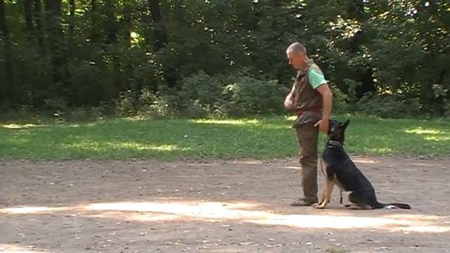 Pirol ChipDAS STUDIUM 16 месяцев 0674219497 смотреть онлайн