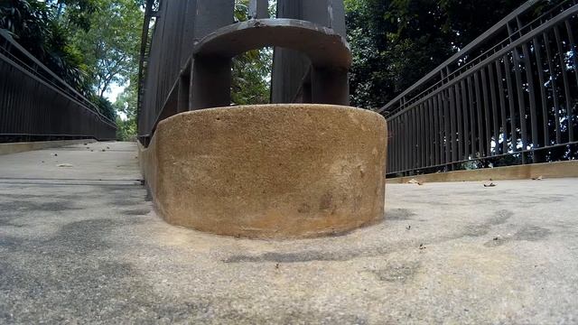 Ants Activity SJCAM M10 смотреть онлайн