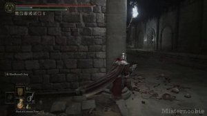 Get the Stone-Sheathed Sword in Fog Rift Catacombs- Elden Ring DLC