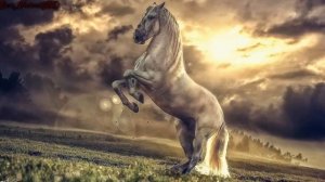 Самый Красивый Нашид в Мире,Нашид-Молния,в небе сверкающая