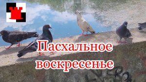 Пасхальное воскресенье в Калининграде