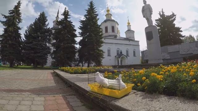 Тренировка на ориентирование 16 08 2019