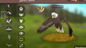 WildCraft Обзор на мой аккаунт с чемпом(читать описание)