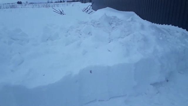 ЗДАЛ ВЕС МЕТАЛЛ