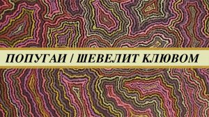Попугай часто шевелит клювом, долго ест, перебирает зерно, чешет голову. Симптомы артроза челюстей.