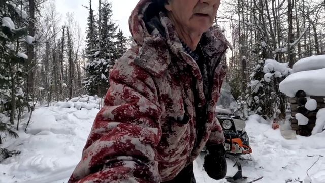 Вытаскиваю соболей. Делаю окно. Дрова. Рассказ.