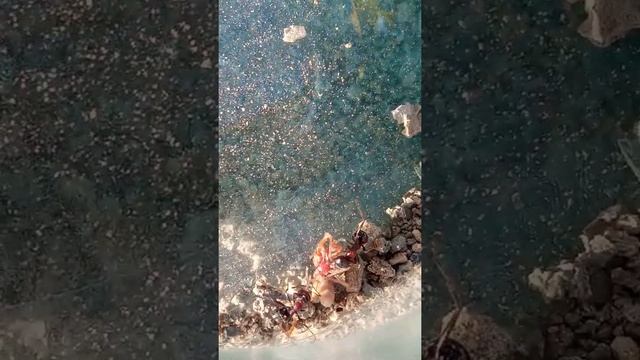 Паук против муравьев смотреть онлайн