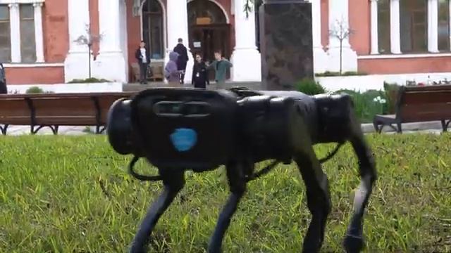 IV Весенняя школа МАИ. Новости Доры выпуск 10
