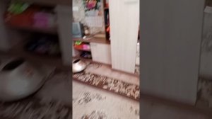 Pc building simulator на максималку