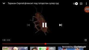 Танцующий таракан