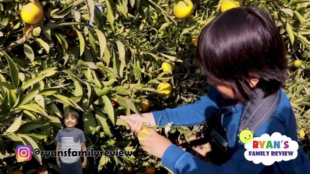 Ryan flying on a private airplane for the first time!!! смотреть онлайн