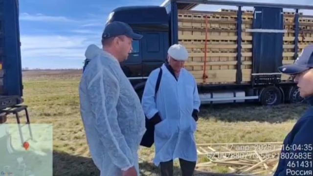 Я не ровнадушен Я поддерживаю
