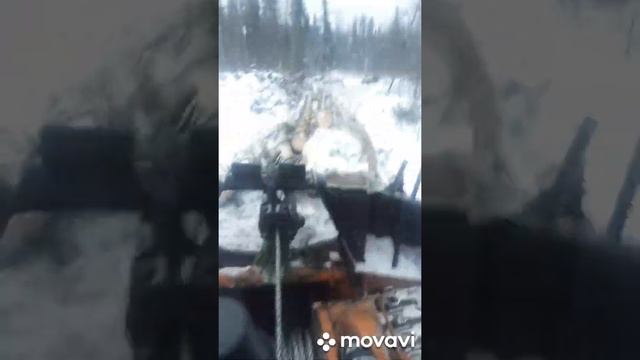 Всем лесорубам посвящается, ТДТ 55, ЮМЗ, ЗИЛ, УРАЛ, УАЗ СДЕСЬ ВСЕ смотреть онлайн