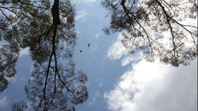 布農聖詩巒群第36首Tis uni Zaku Iesu Masumsum耶穌為我禱告 смотреть онлайн