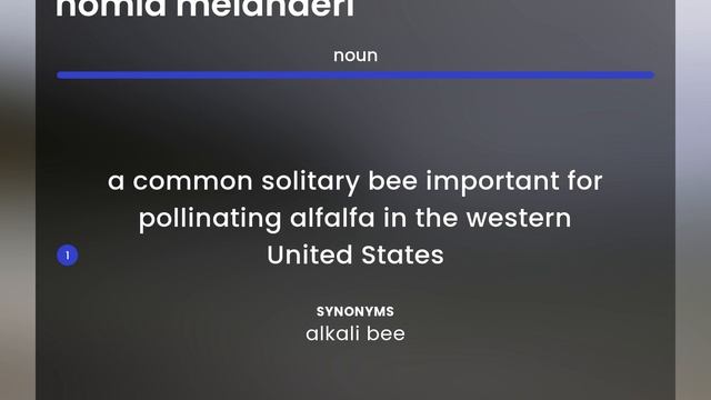 Nomia melanderi | what is NOMIA MELANDERI definition смотреть онлайн