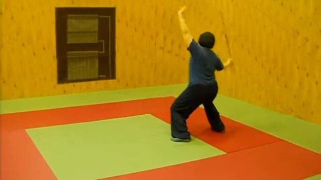 Moscow, Russia, tai Chi.  Упражнения с мечом. Форма