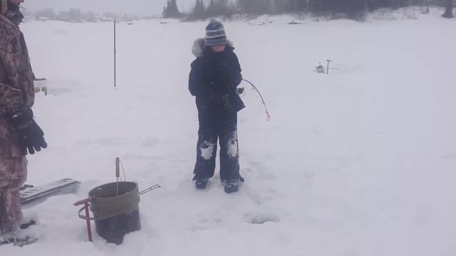 Ice fishing Manitoba Nelson river ice fishing fanatics 4