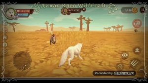 🌿❤️Выполняю задание ранга WildCraft 🐅💓🌿