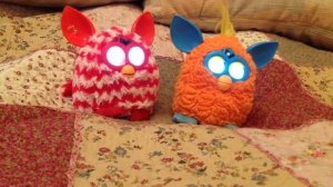 Образ на ферби и Фиби