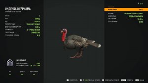 Индейка бриллиант