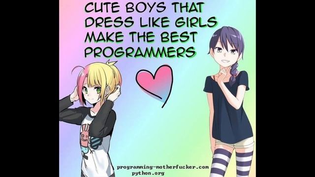 Best Programmers #shorts #femboy смотреть онлайн