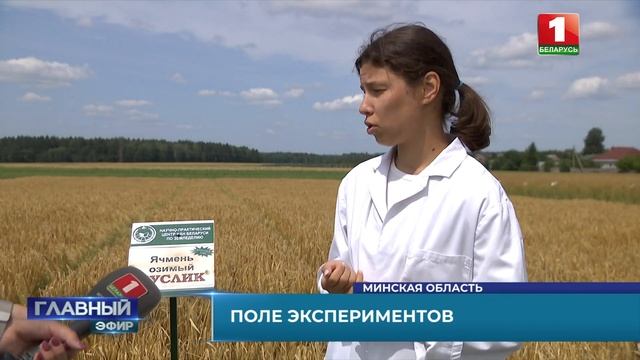 Уборочная 2023 смотреть онлайн