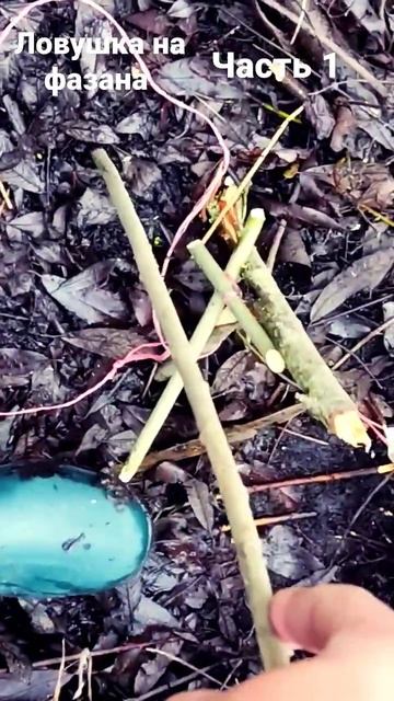 Как поймать фазана часть №1#shorts #youtubeshorts #рекомендации #актив смотреть онлайн