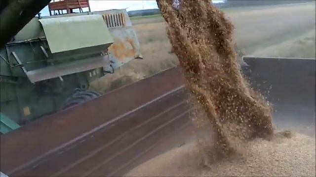 10 августа уборка пшеницы смотреть онлайн