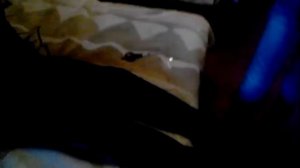 Попробуй вырваться из скотча " челендж"