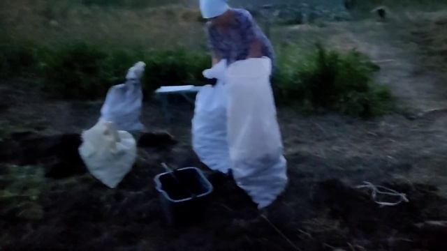 19/07/2022. Уборка картофеля. Часть 2. смотреть онлайн