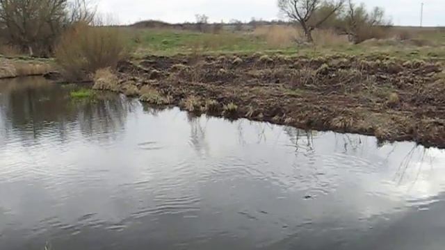 ЗДЕСЬ РЫБА ЕСТЬ смотреть онлайн