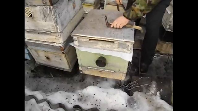 ремень для улья - удобные приспособления для пчеловодства